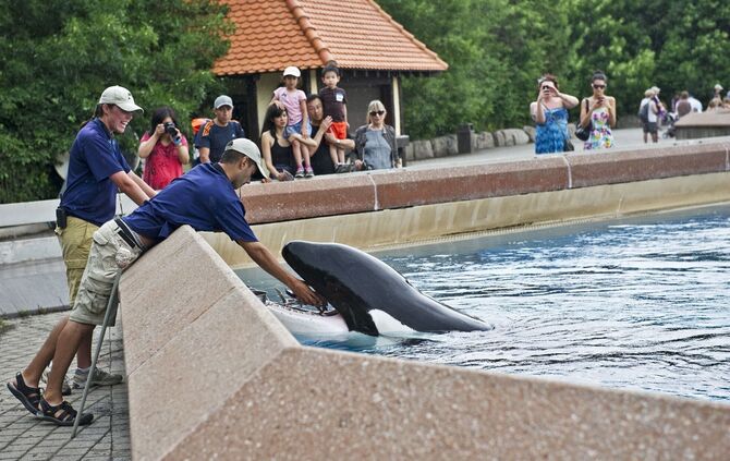 Marineland