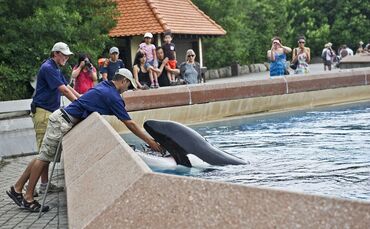 Marineland 