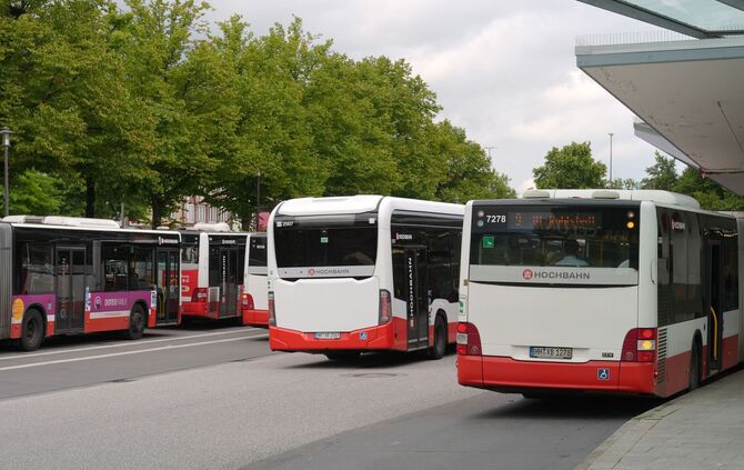 Linienbusse