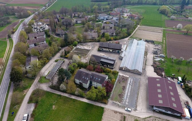 hangweide