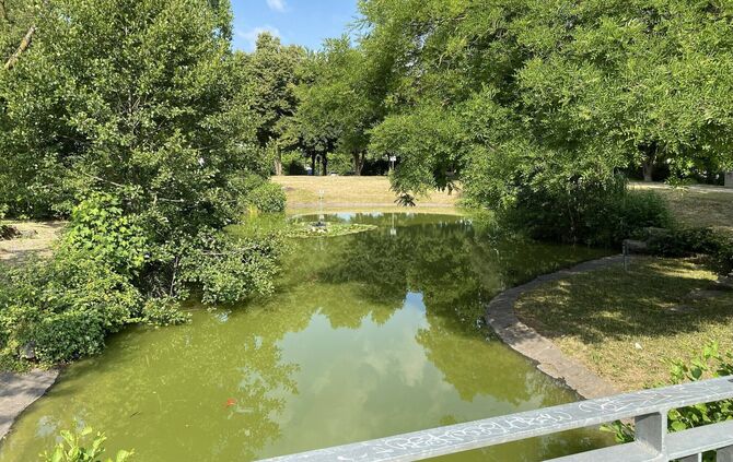 Der Teich im Park der Schwabenlandhalle