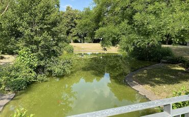 Der Teich im Park der Schwabenlandhalle