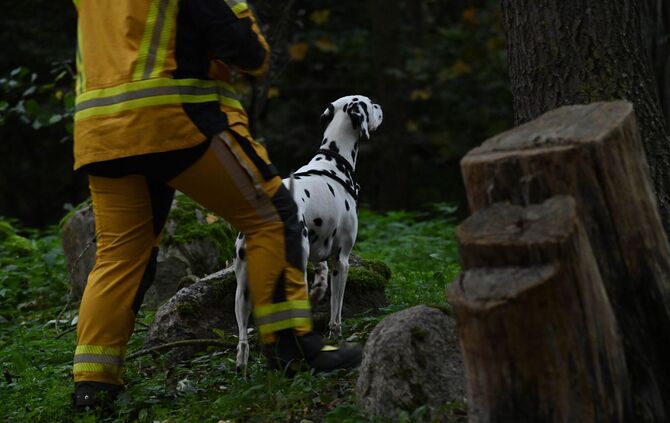 Polizei sucht nach Achtjährigem aus Güstrow