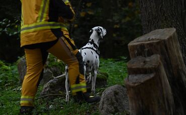 Polizei sucht nach Achtjährigem aus Güstrow