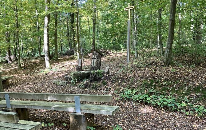 Friedwald Schurwald (1) - 1