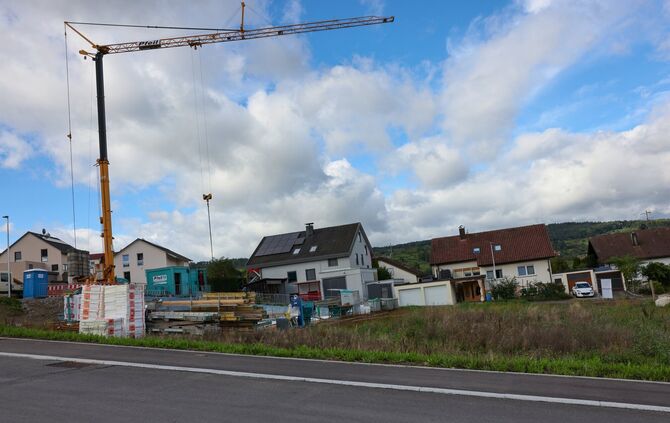 Pfeiferfeld