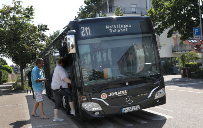 bus