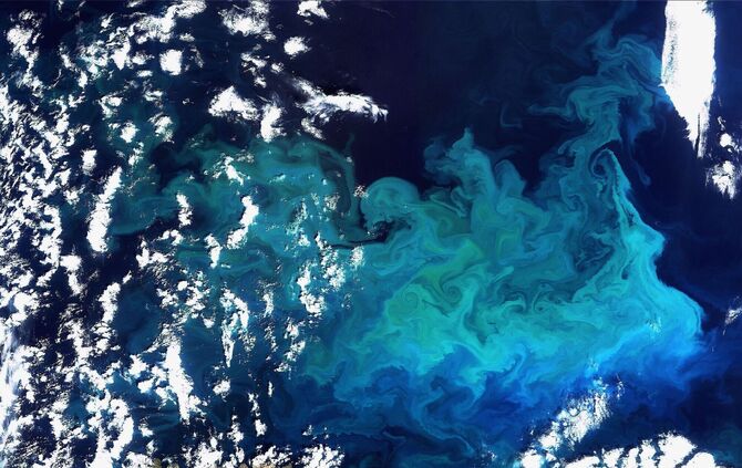 Weniger Plankton durch wärmere Ozeane