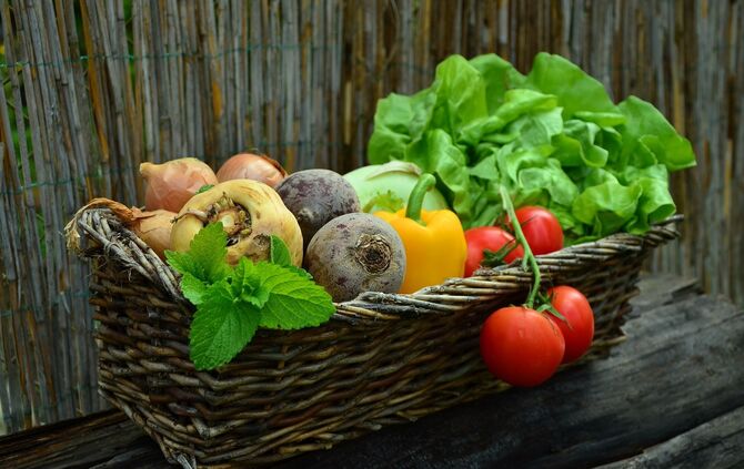 Gemüse Ernährung Gesund_0