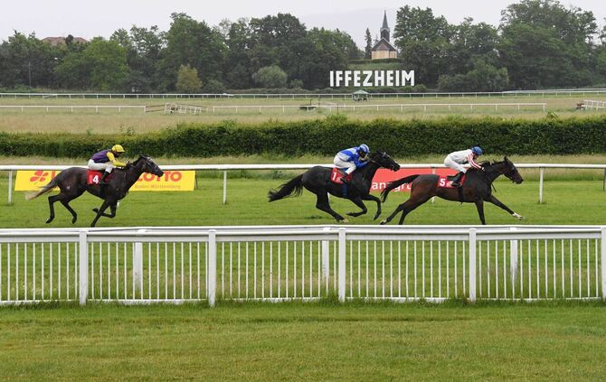 Galopp