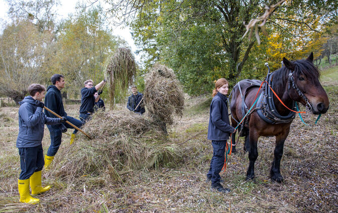 Gelbbauchunkenaktion des NABU mit Unterstützung der Kärcher Auszubildenden im Oberen Zipfelbachtal bei Winnenden, 17.10.2025.