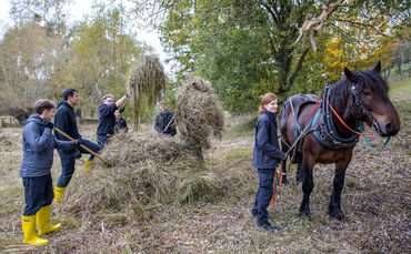 Gelbbauchunkenaktion des NABU mit Unterstützung der Kärcher Auszubildenden im Oberen Zipfelbachtal bei Winnenden, 17.10.2025.