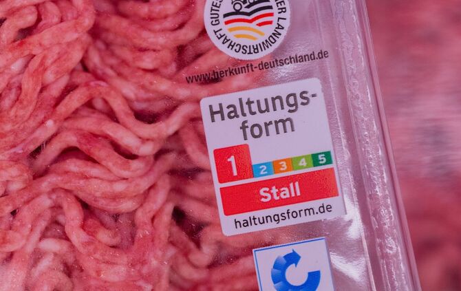 Haltungsform 1