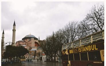 pexels-arefin-879478