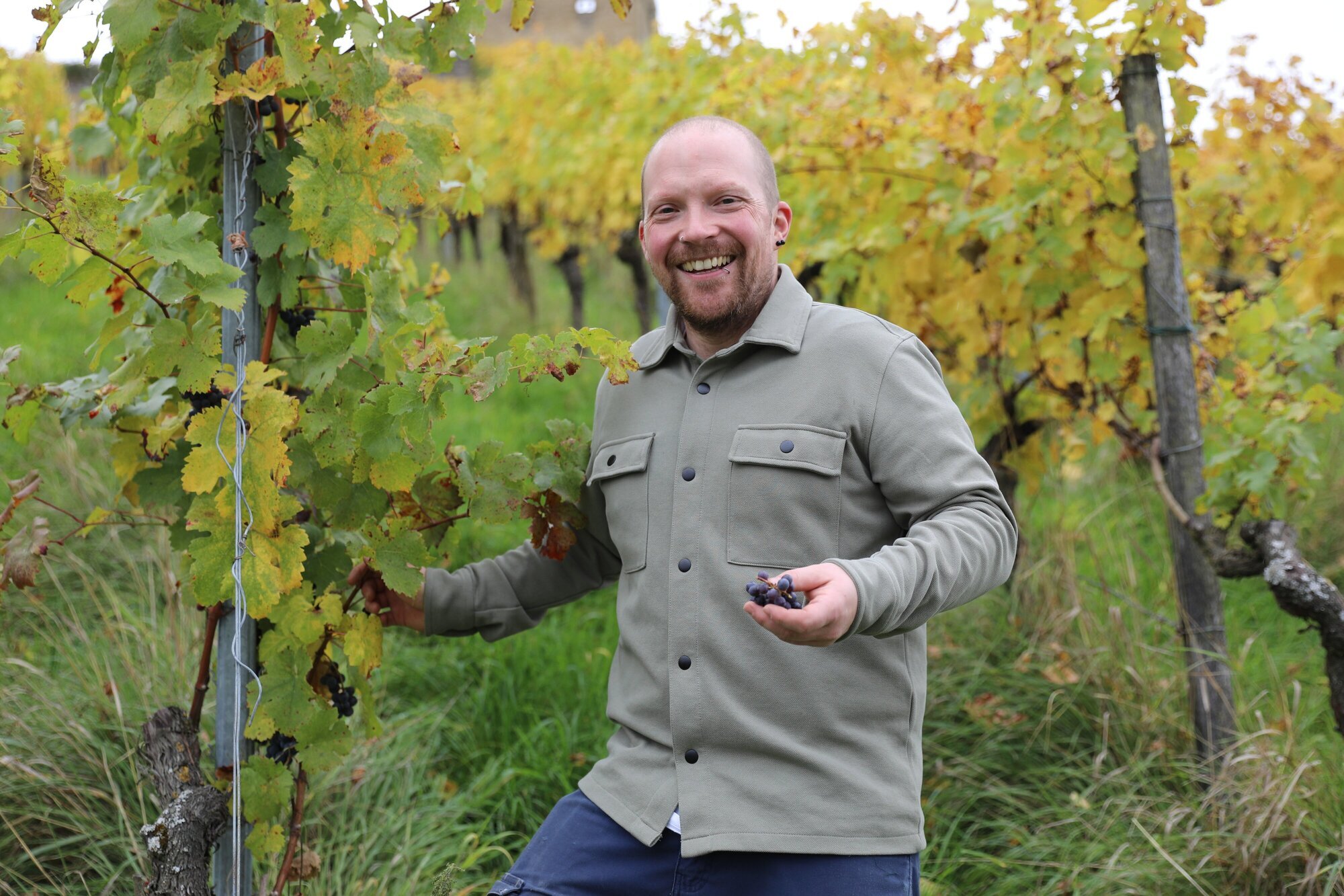 Kernen: Warum der Trollinger beim Weingut Karl Haidle nicht in die Flasche ...