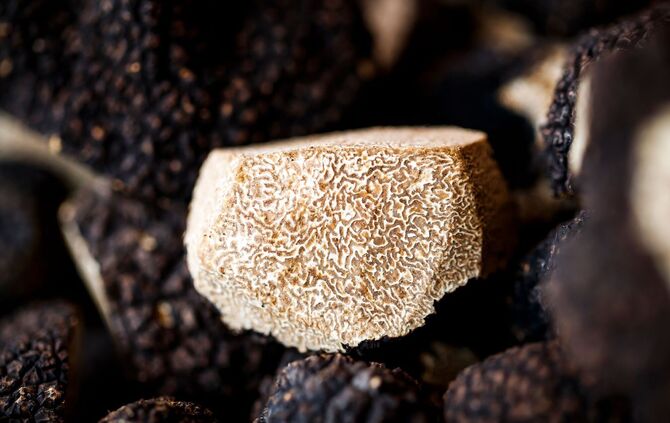 Warum Trüffel Trendfood sind