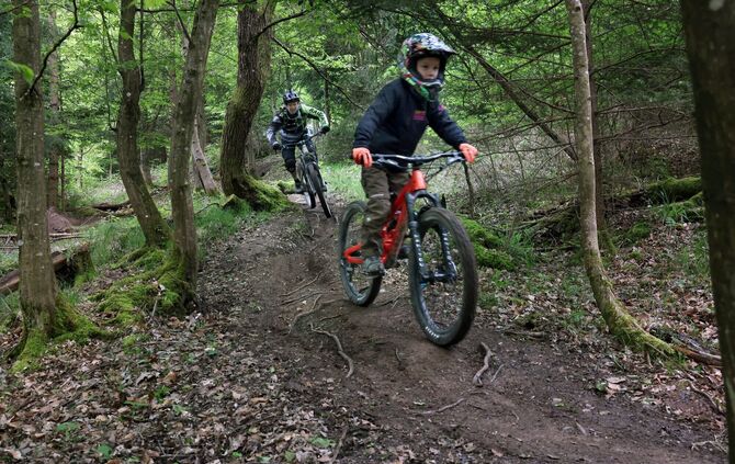 Mountainbiketrail - 1