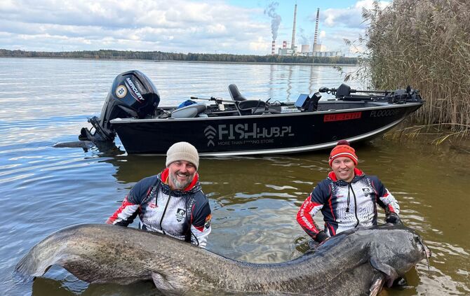 Riesiger Wels in Polen gefangen