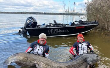 Riesiger Wels in Polen gefangen