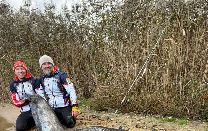 Riesiger Wels in Polen gefangen