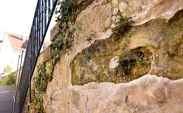 Stadtmauer