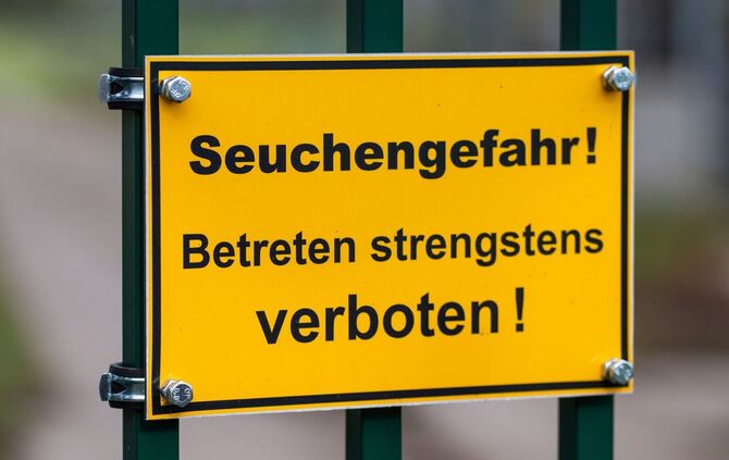 Vogelgrippe in Brandenburg