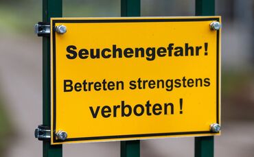 Vogelgrippe in Brandenburg