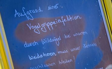 Vogelgrippe in Baden-Württemberg