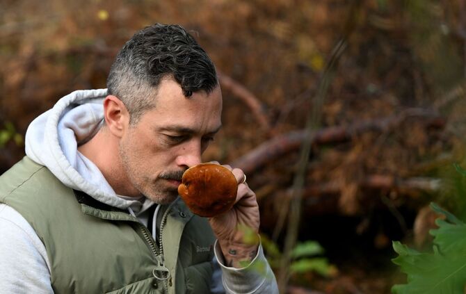 Mit einem Pilz-Influencer in den Pilzen