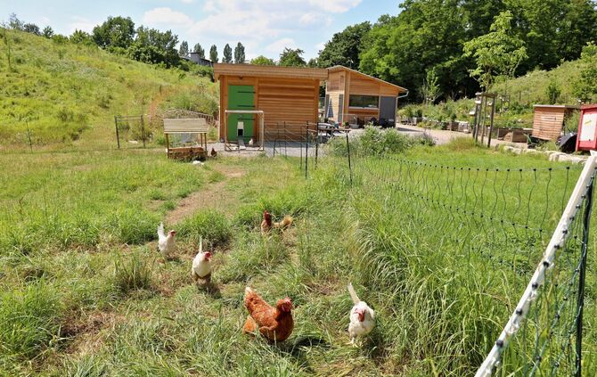 Jugendfarm