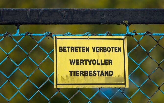 Vogelgrippe - Neuhardenberg