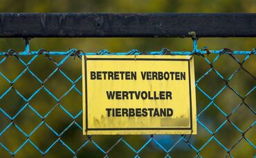 Vogelgrippe - Neuhardenberg