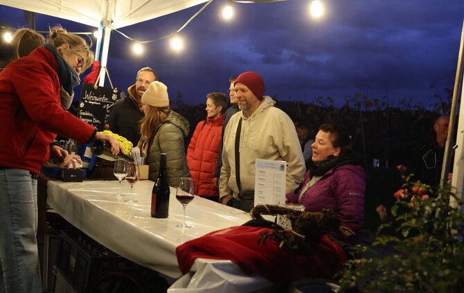 Weinwinter am Wengerthäusle