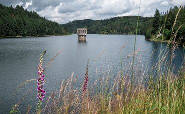 Trinkwassertalsperre Mauthaus, Ködeltalsperre