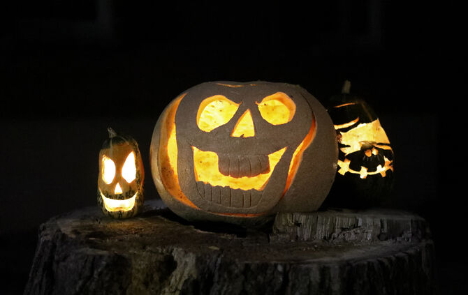 Kürbis Herbst Halloween Kürbisgeist süßes saures brauchtum symbol symbolbild symbolfoto