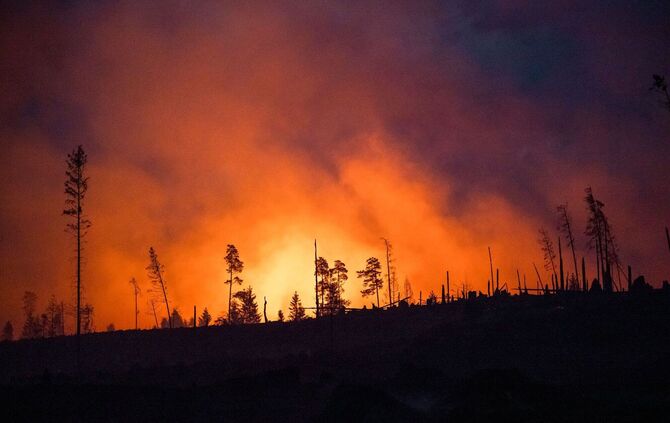 Symbolbild Waldbrand