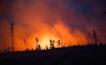 Symbolbild Waldbrand