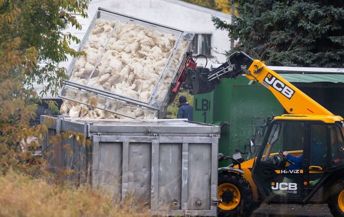Vogelgrippe in Brandenburg