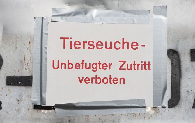 Vogelgrippe ausgebrochen