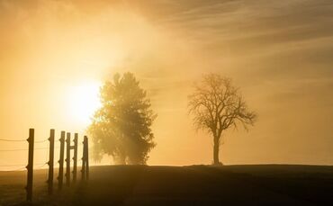 Wetter in Baden-Württemberg