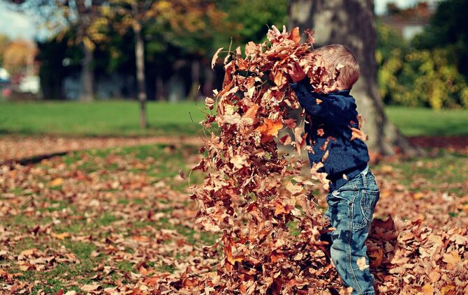 Junge im Herbstblätterberg