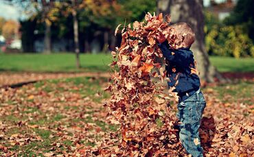 Junge im Herbstblätterberg