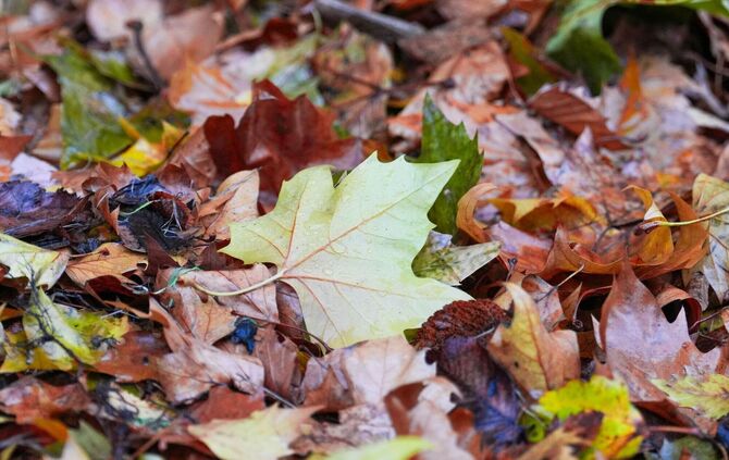 Deutscher Wetterdienst veröffentlicht die Oktober-Bilanz