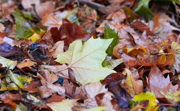 Deutscher Wetterdienst veröffentlicht die Oktober-Bilanz