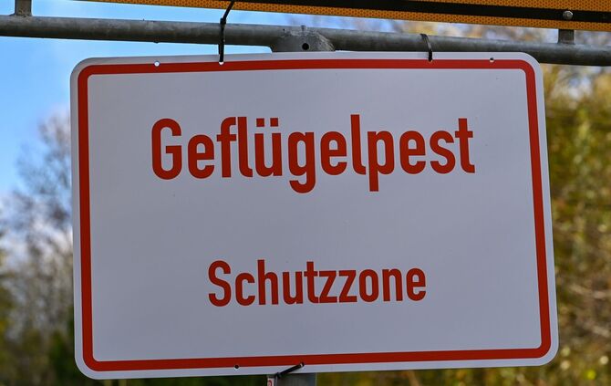 Geflügelpest