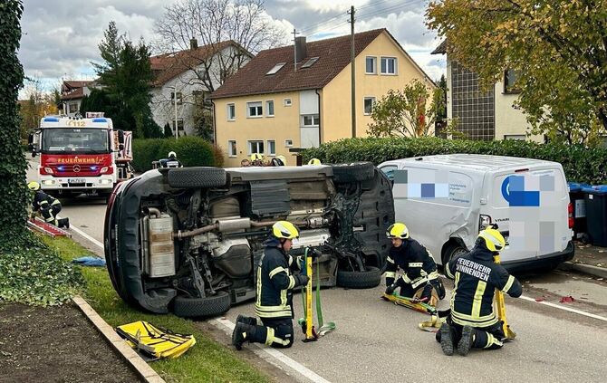 whatsapp-image-2025-11-03-at-122840 - 1 - 1 - 1