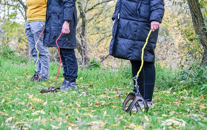 Hobby-Dogging - ein  neuer Trend