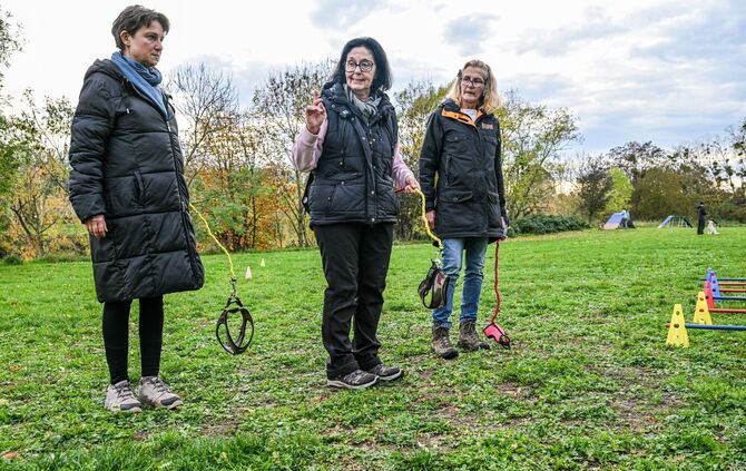 Hobby-Dogging - ein  neuer Trend