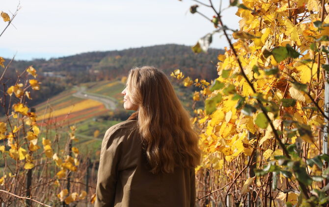 Remstal Erlensinel, Kugelbahn, Remstalkino, Steinfelsen, Grunbacher Wasserfälle, Haselstein