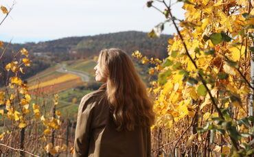 Remstal Erlensinel, Kugelbahn, Remstalkino, Steinfelsen, Grunbacher Wasserfälle, Haselstein